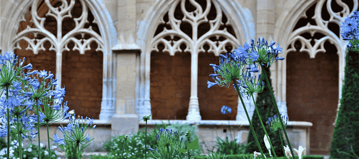 Visite thématique Cadouin sur les jardins
