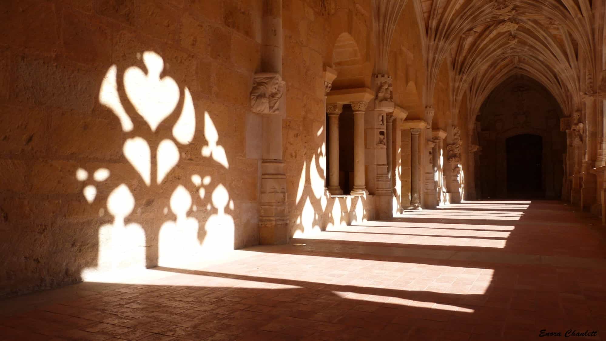 cadouin-visuel-actu-vac